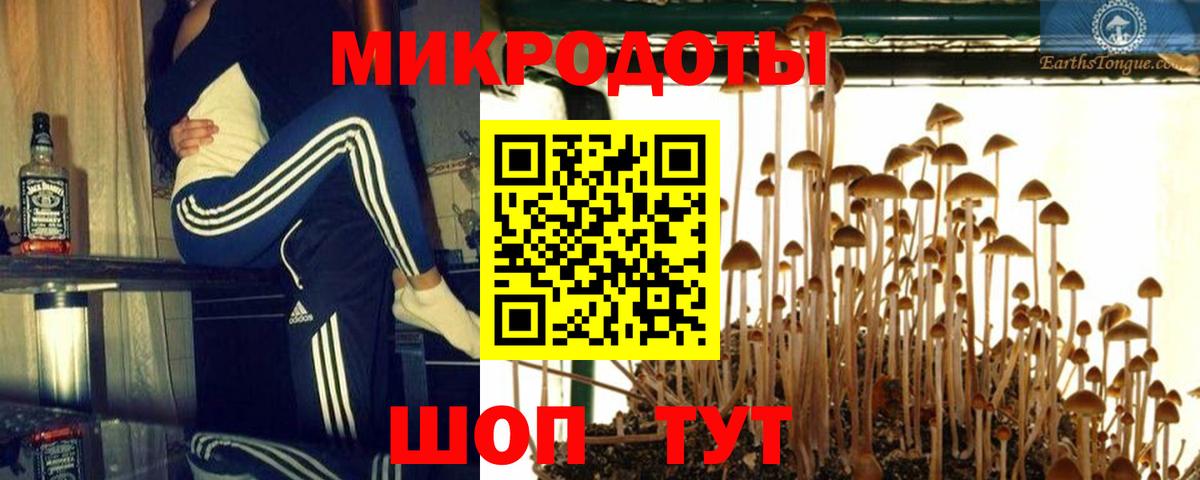 Псилоцибиновые грибы мицелий Ухта